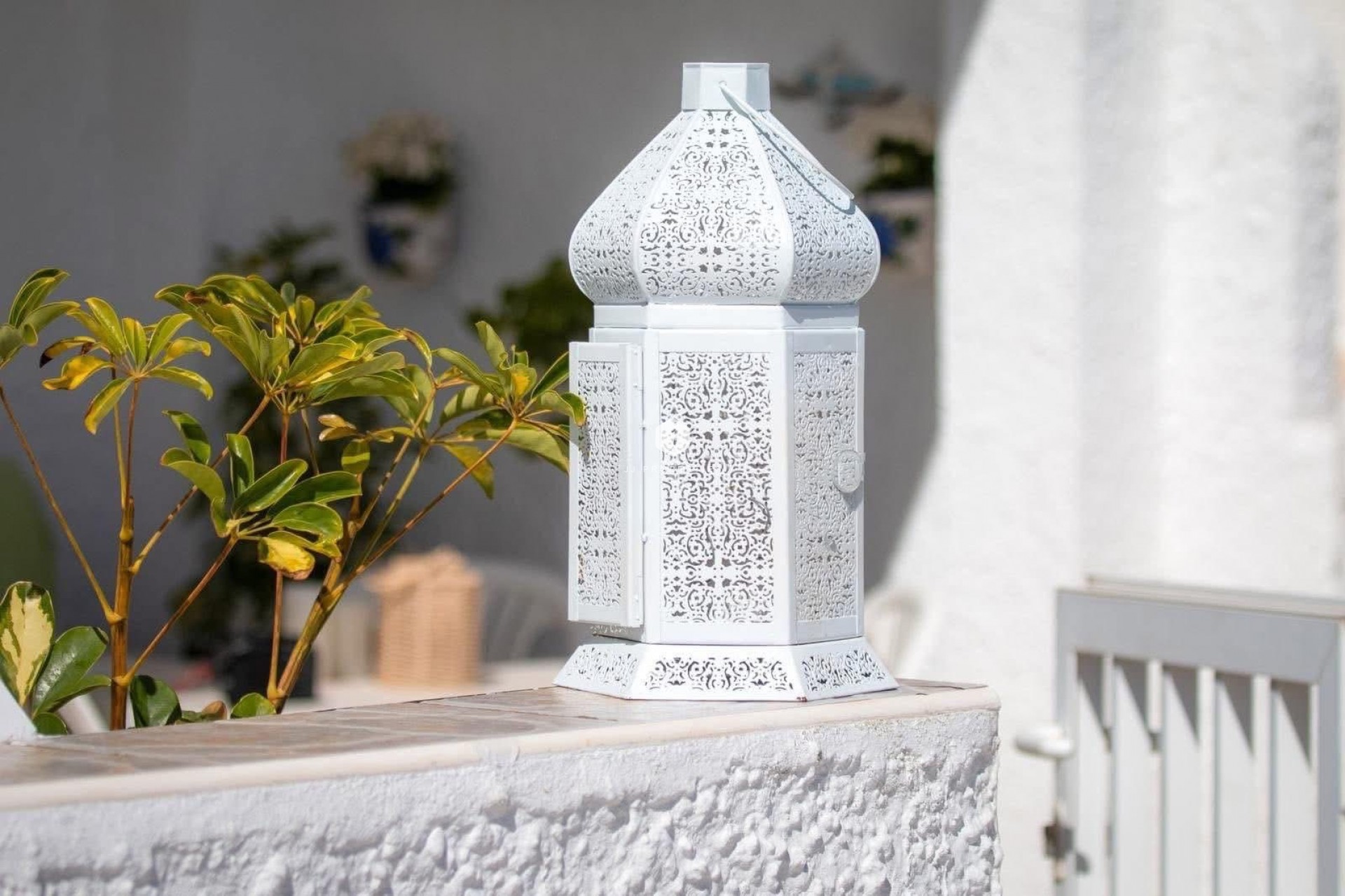 Segunda mano - Chalet -
Cabo Cervera - Costa Blanca