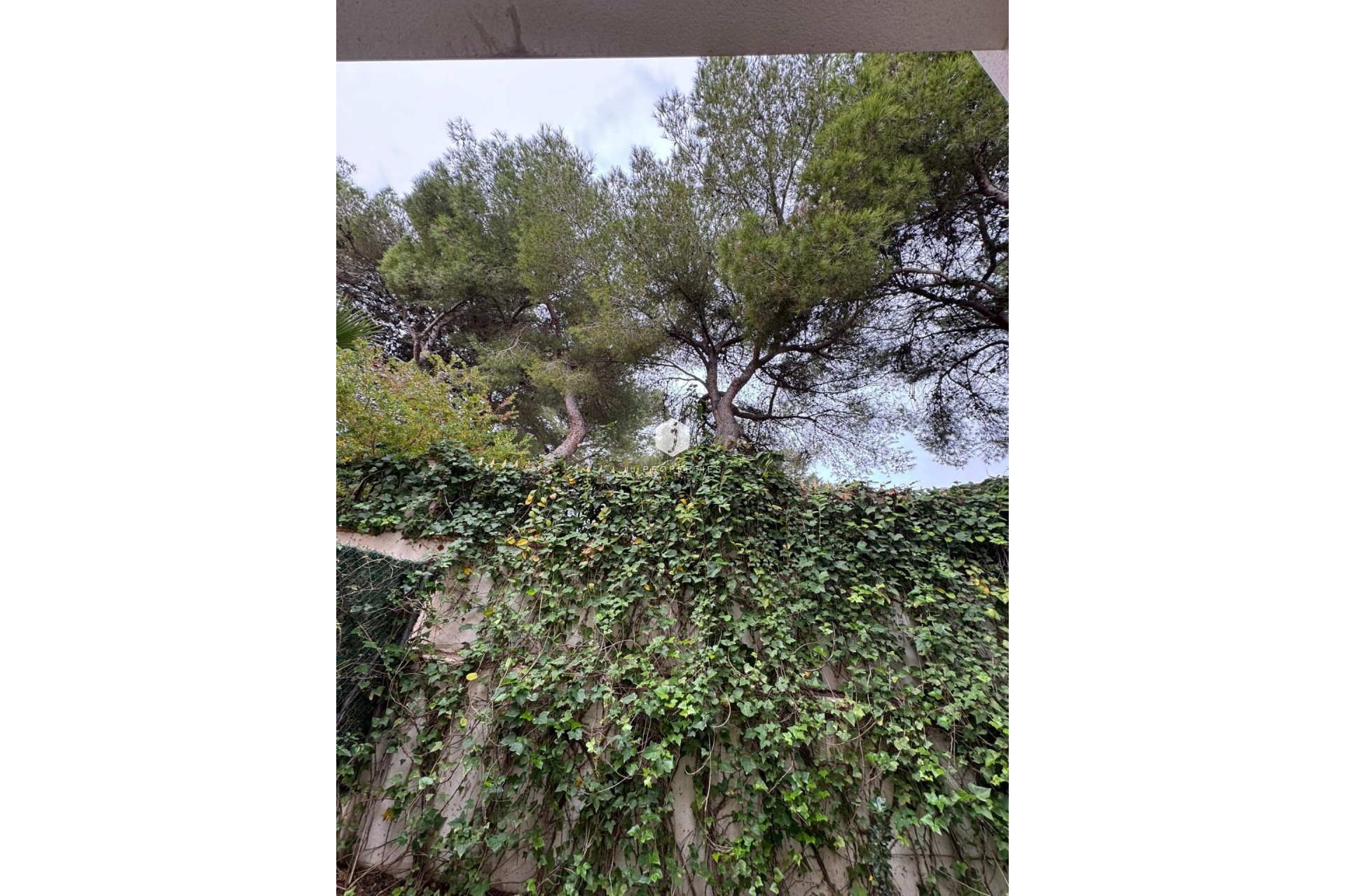 Segunda mano - Chalet -
Torrevieja - Punta prima