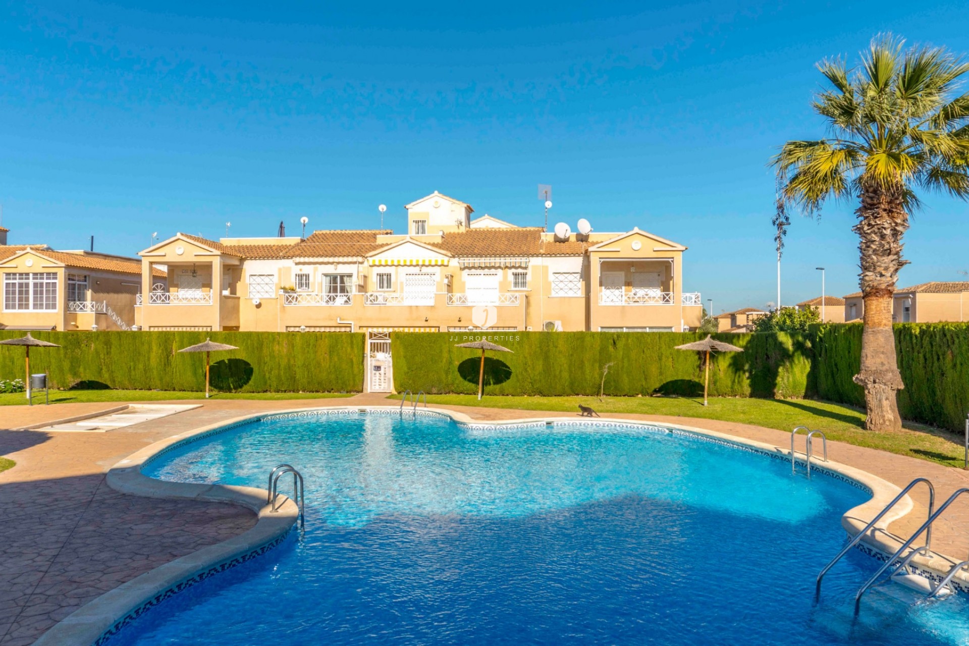 Segunda mano - Duplex -
Torrevieja - Nueva Torrevieja