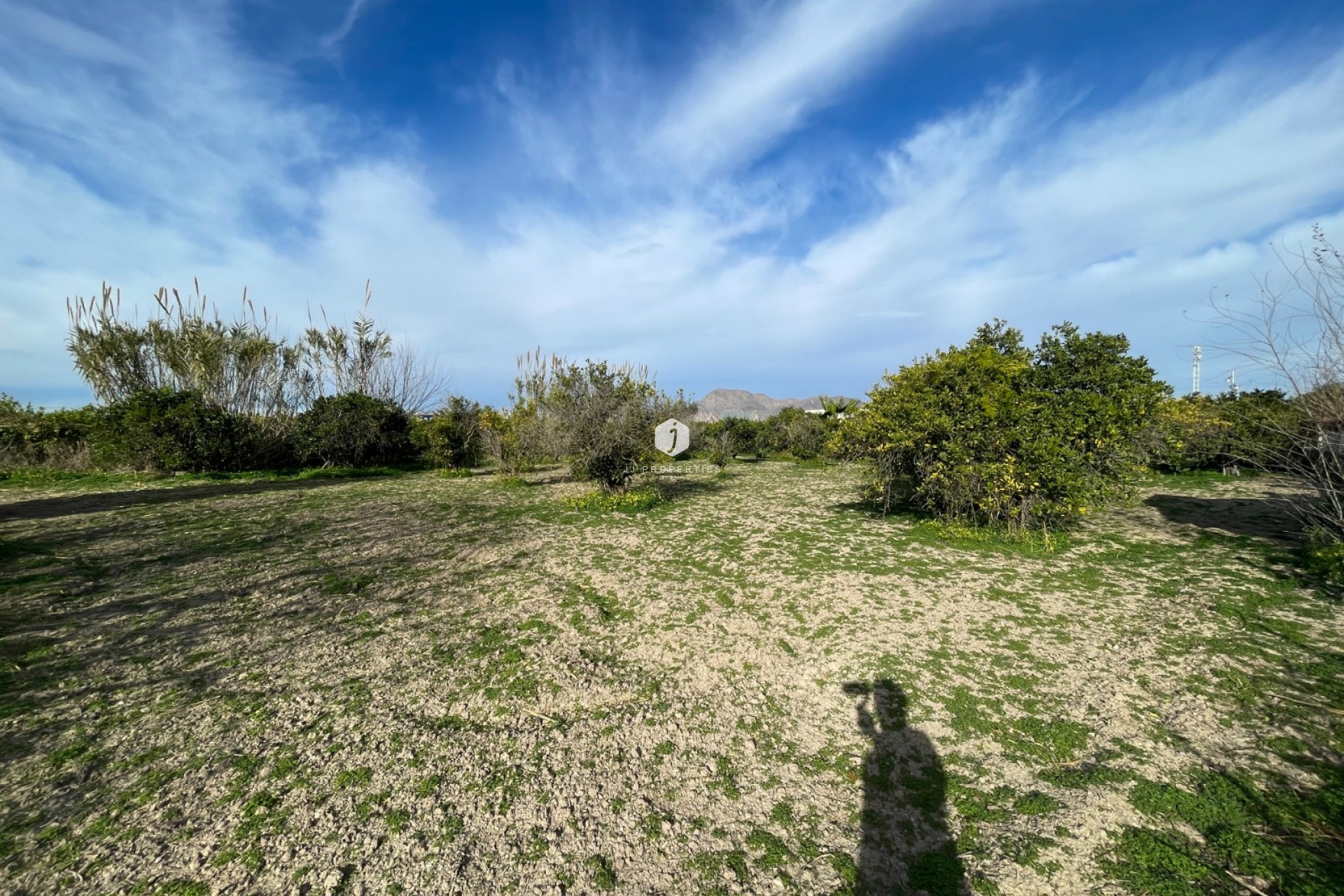 Segunda mano - Villa -
Benejúzar - Inland