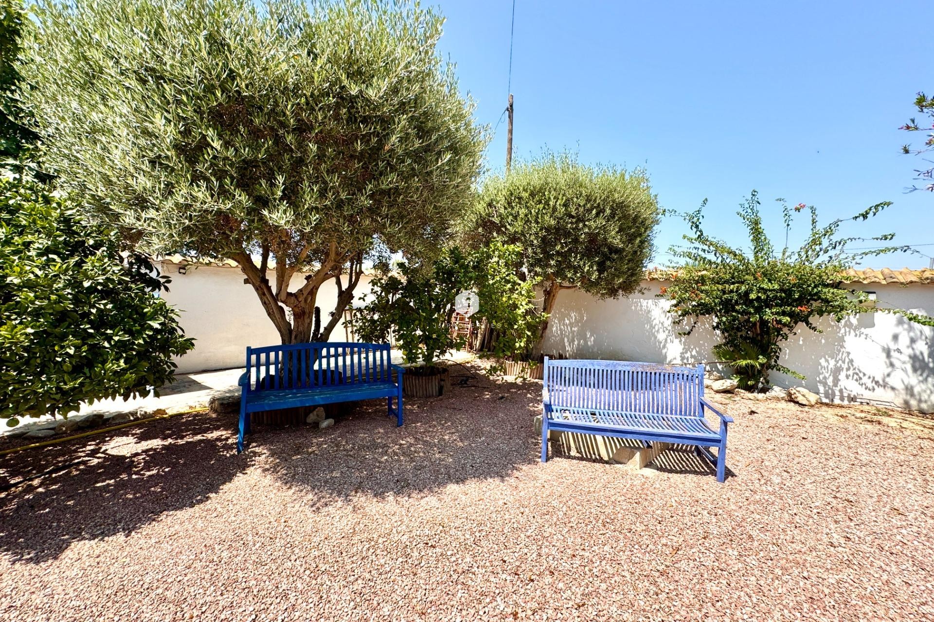 Segunda mano - Villa -
Dolores - Comunidad Valenciana