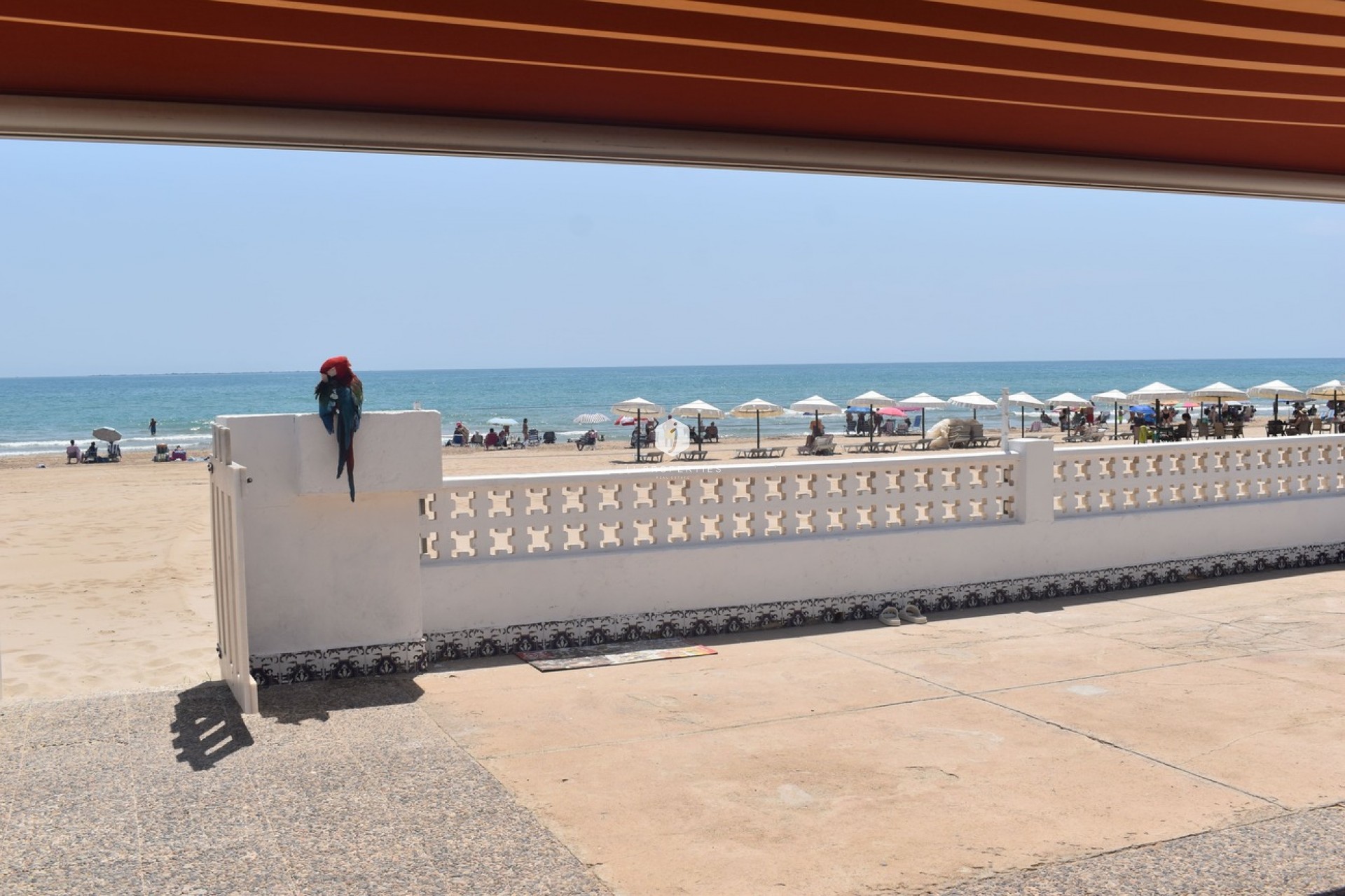 Segunda mano - Villa -
Guardamar del Segura - Costa Blanca