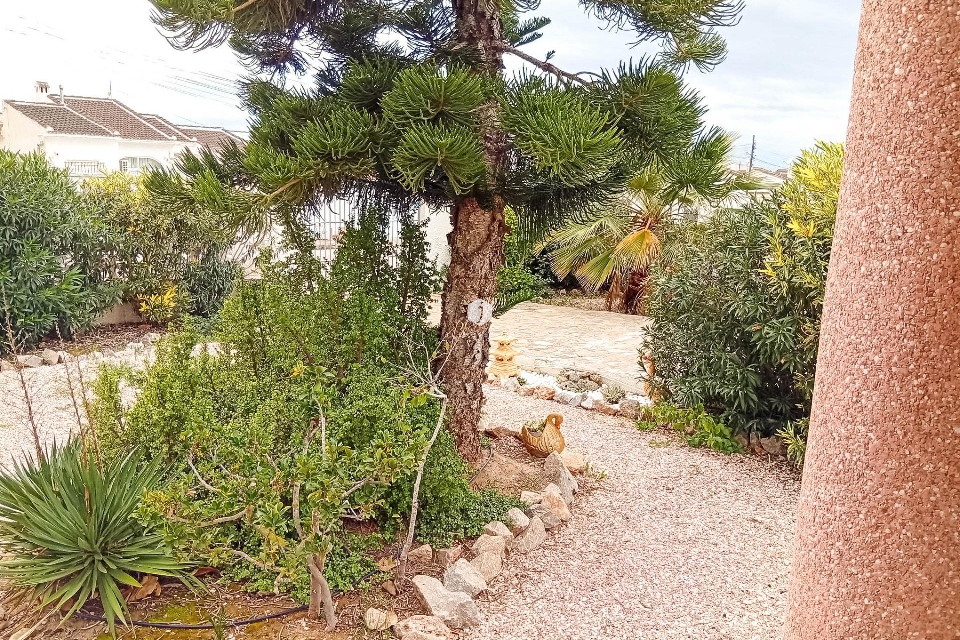 Segunda mano - Villa -
Torrevieja - La Siesta - El Salado - Torreta