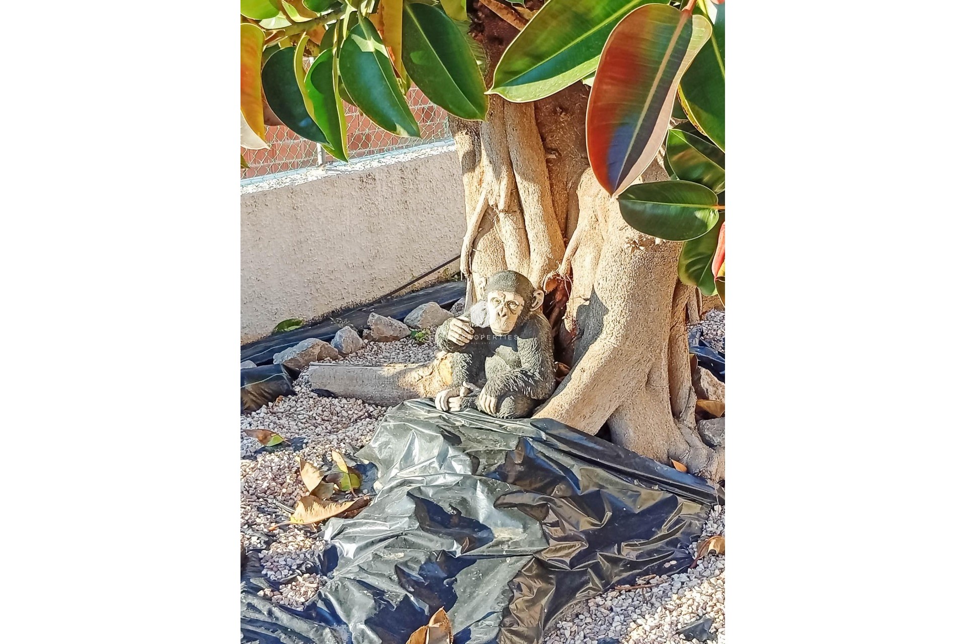 Segunda mano - Villa -
Torrevieja - La siesta