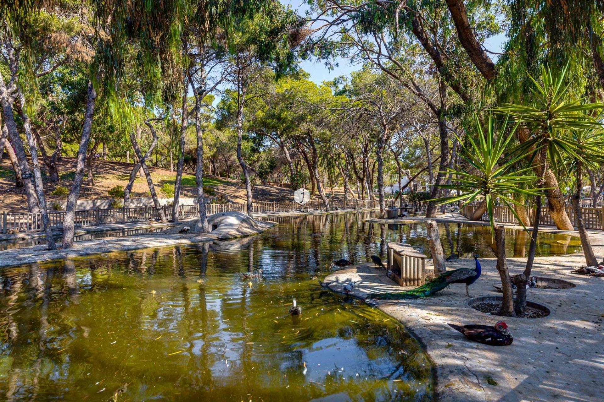 Tweedehands - Appartement / flat -
Guardamar del Segura - Costa Blanca