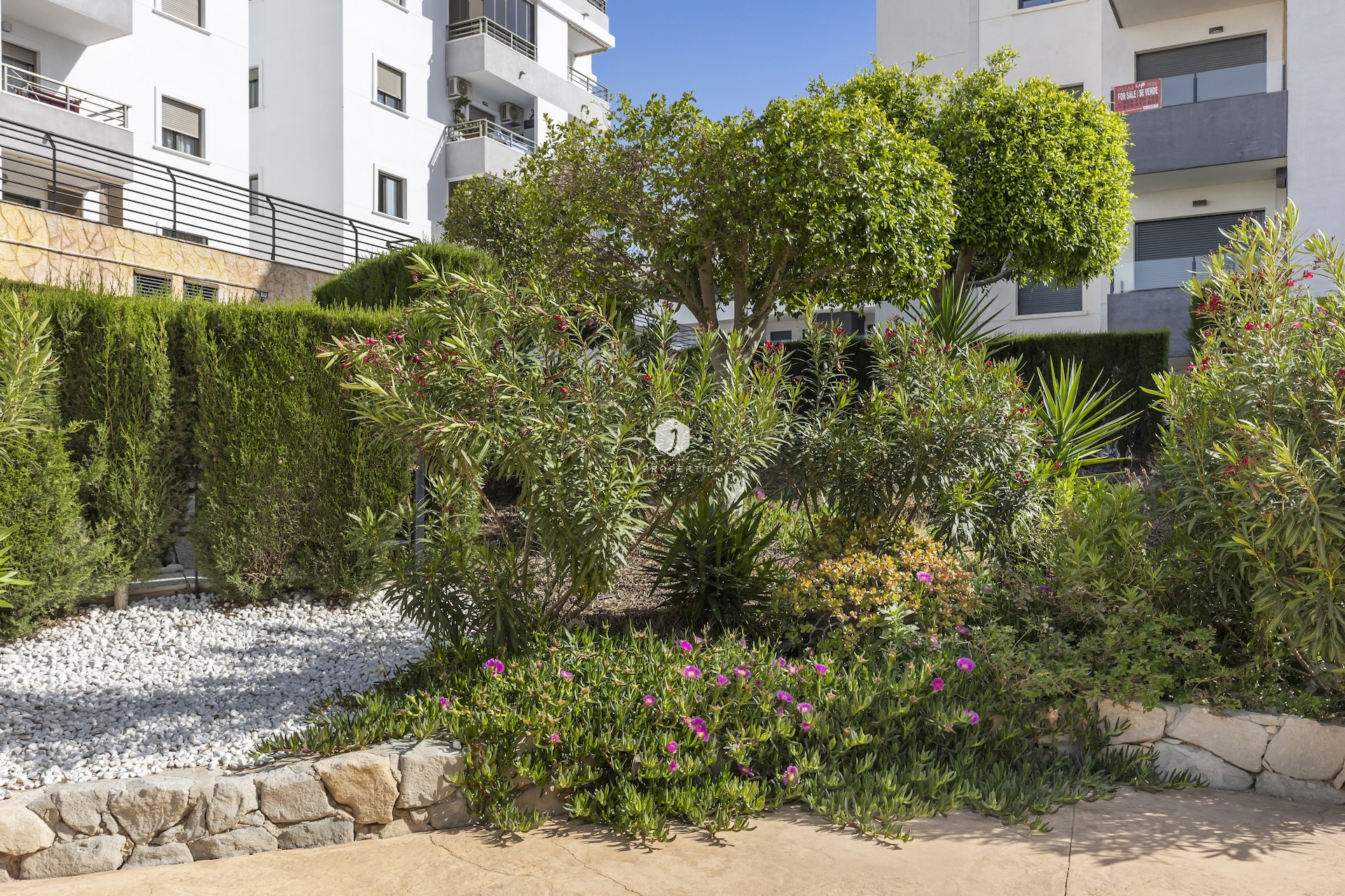 Tweedehands - Appartement / flat -
San Miguel de Salinas - Inland