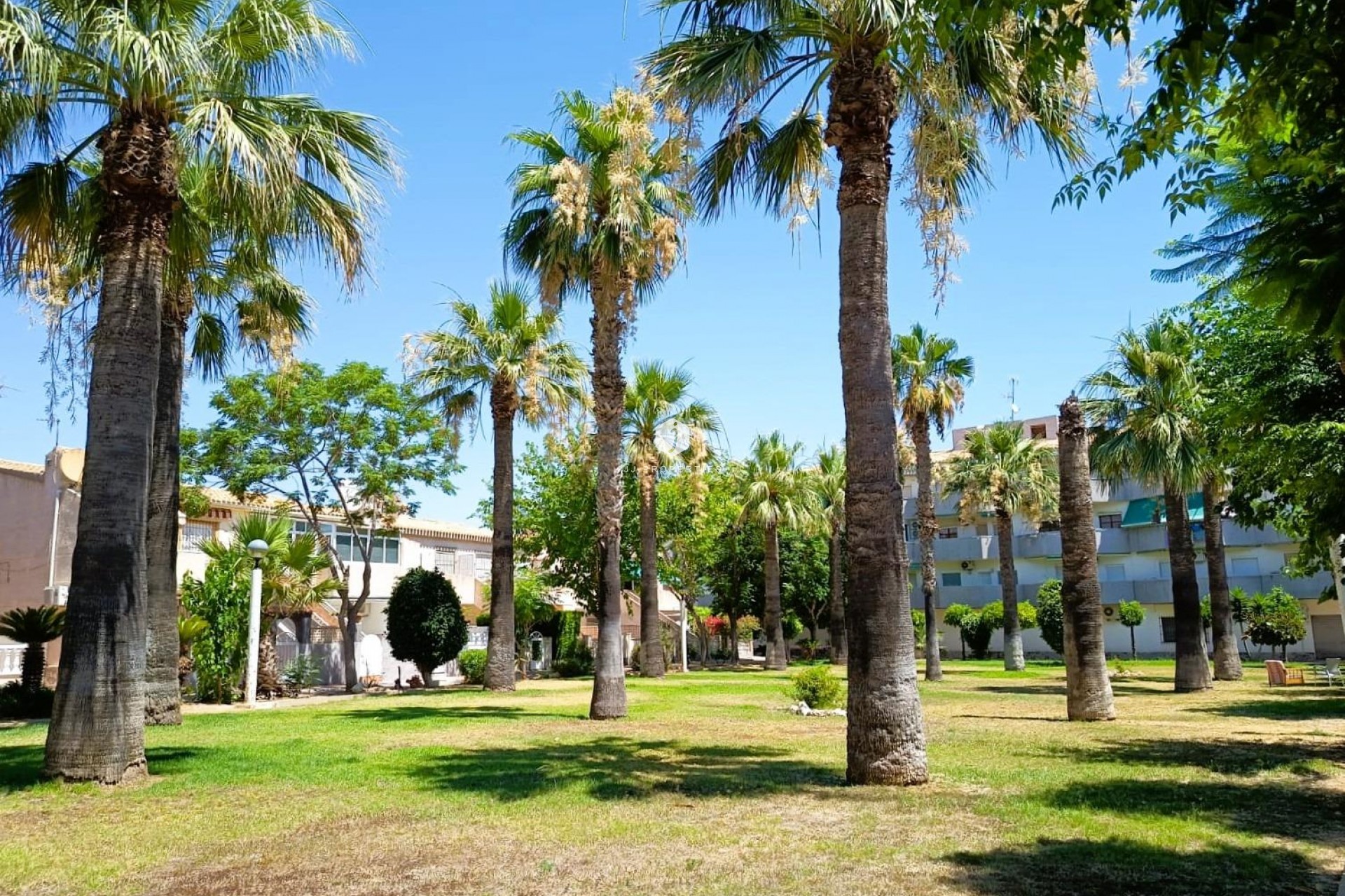 Tweedehands - Bungalow -
Orihuela Costa - Costa Blanca