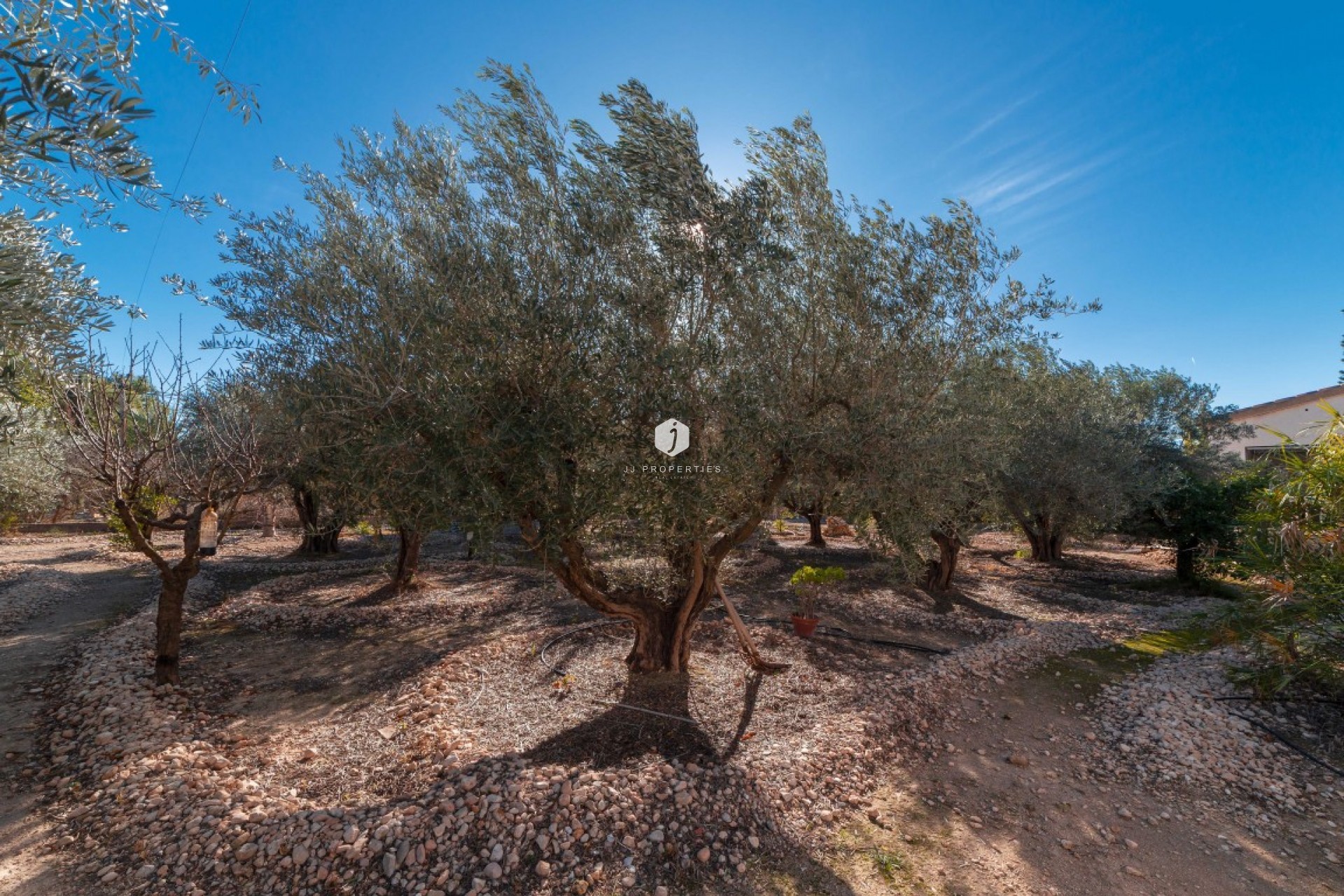 Tweedehands - Landelijk eigendom -
Albatera - Inland