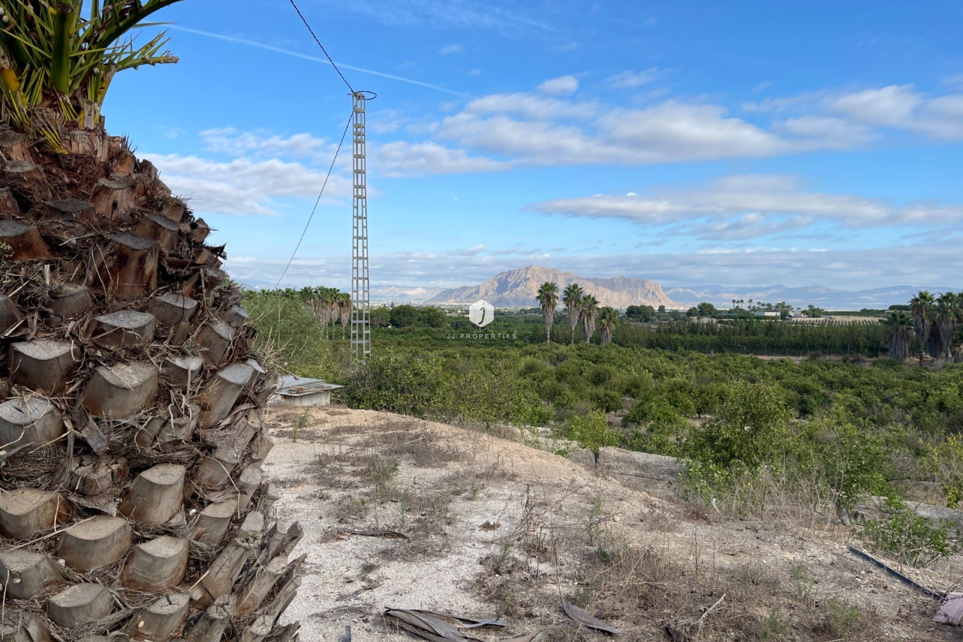 Tweedehands - Landelijk eigendom -
Jacarilla - Inland