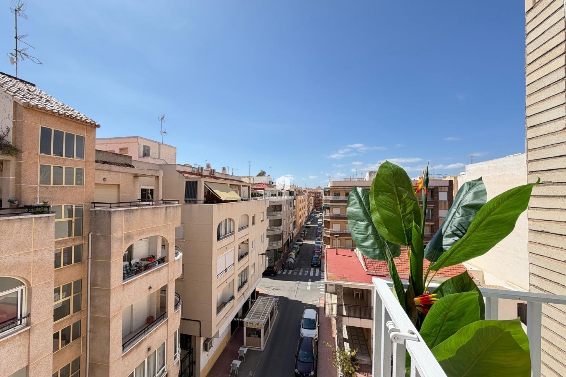 Tweedehands - Penthouse -
Torrevieja - Estacion de autobuses