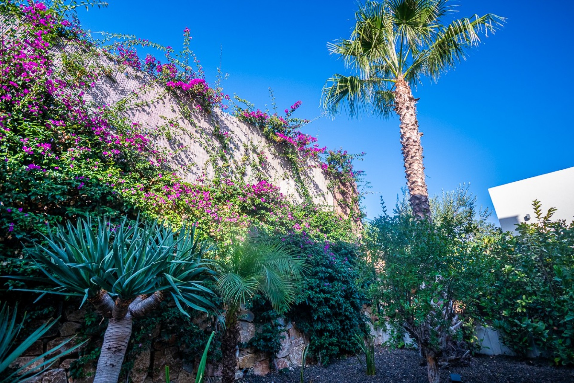 Tweedehands - Villa -
Algorfa - Inland