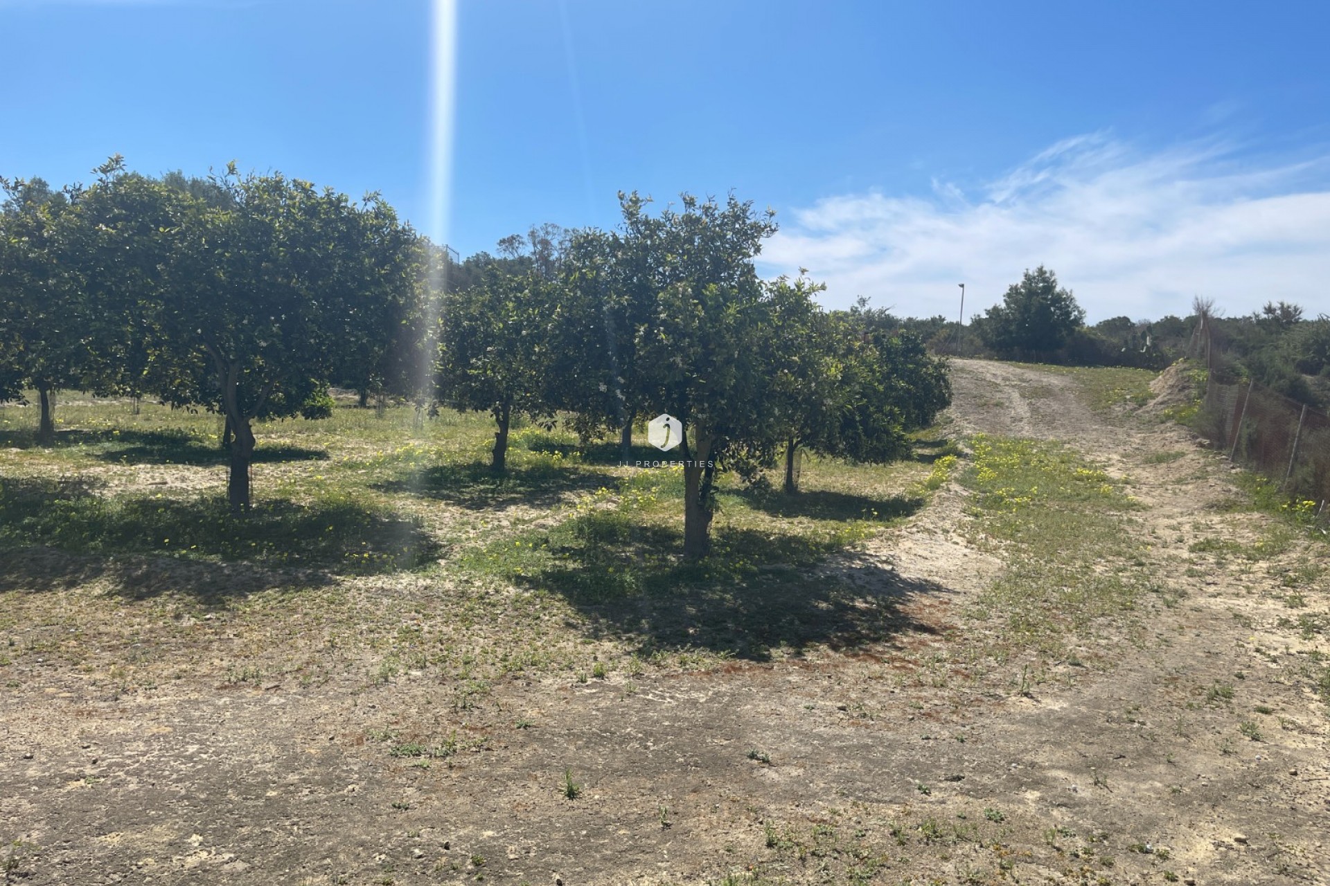 Tweedehands - Villa -
Guardamar del Segura - Costa Blanca