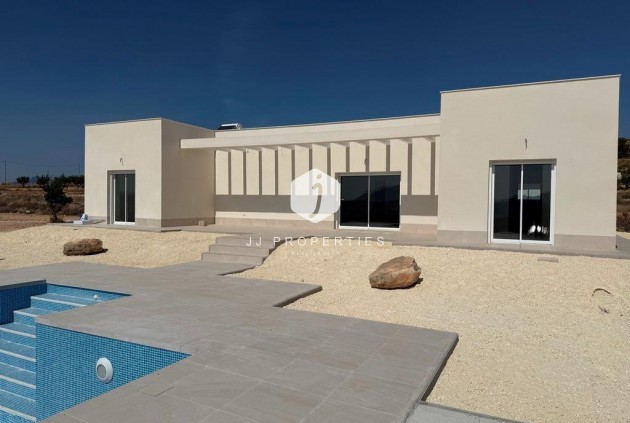 Villa - Nouvelle construction - Pinoso -
                Camino Del Prado