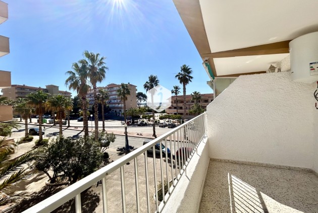 Wohnung - Aus zweiter Hand - Guardamar del Segura -
                Costa Blanca