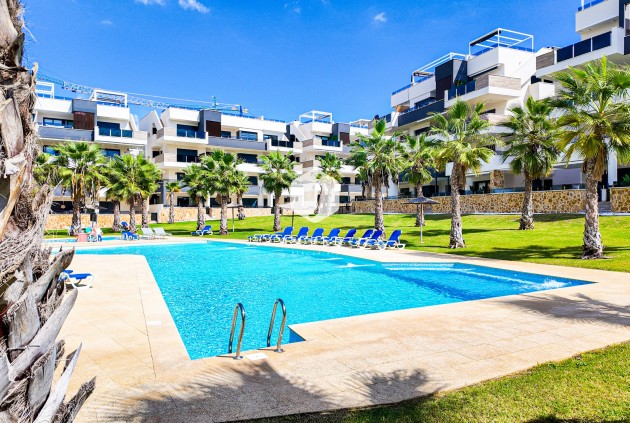 Wohnung - Aus zweiter Hand -
            Orihuela Costa - C-21915