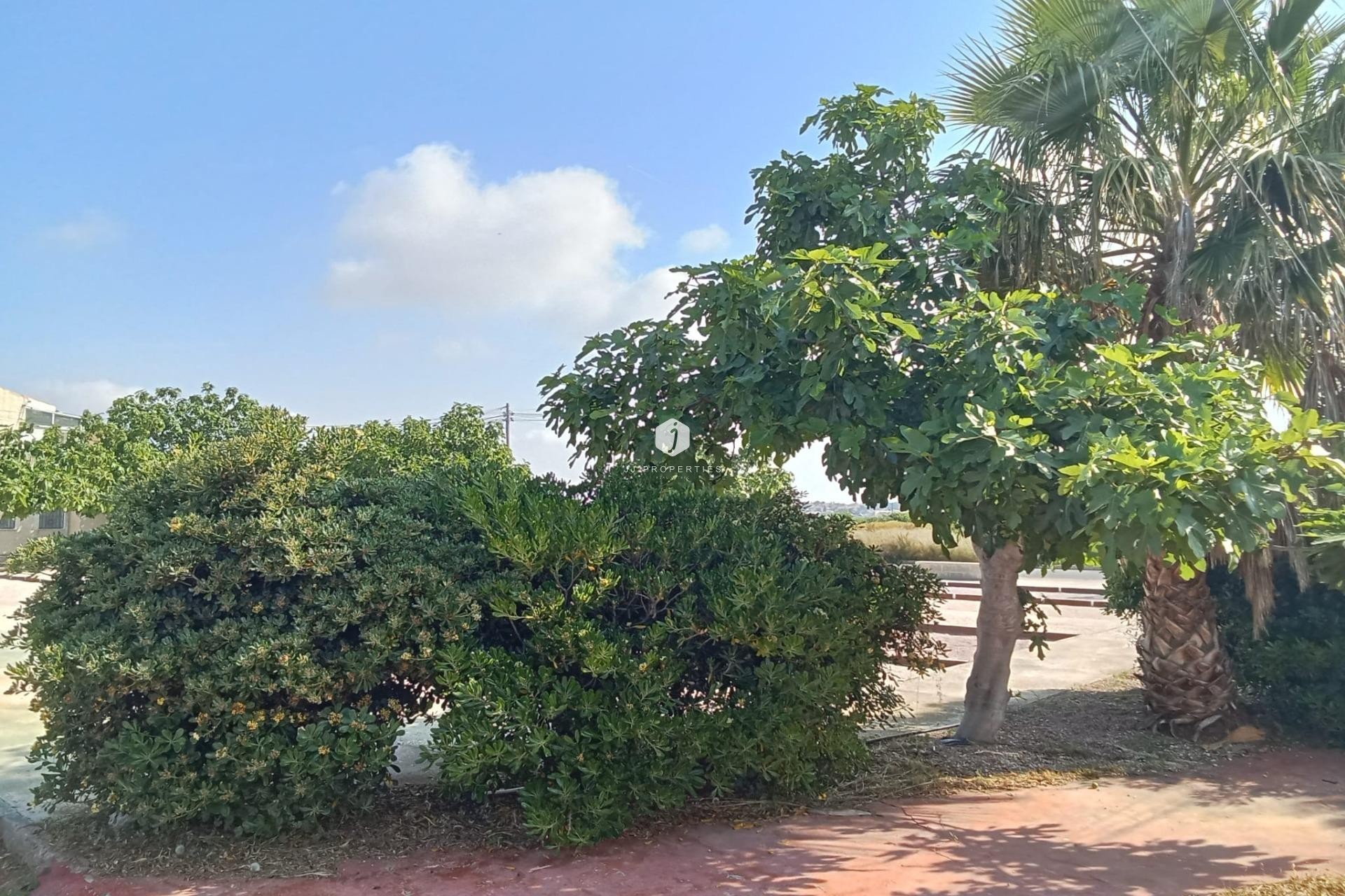 Z drugiej ręki - Bungalow -
Torrevieja - Torretas