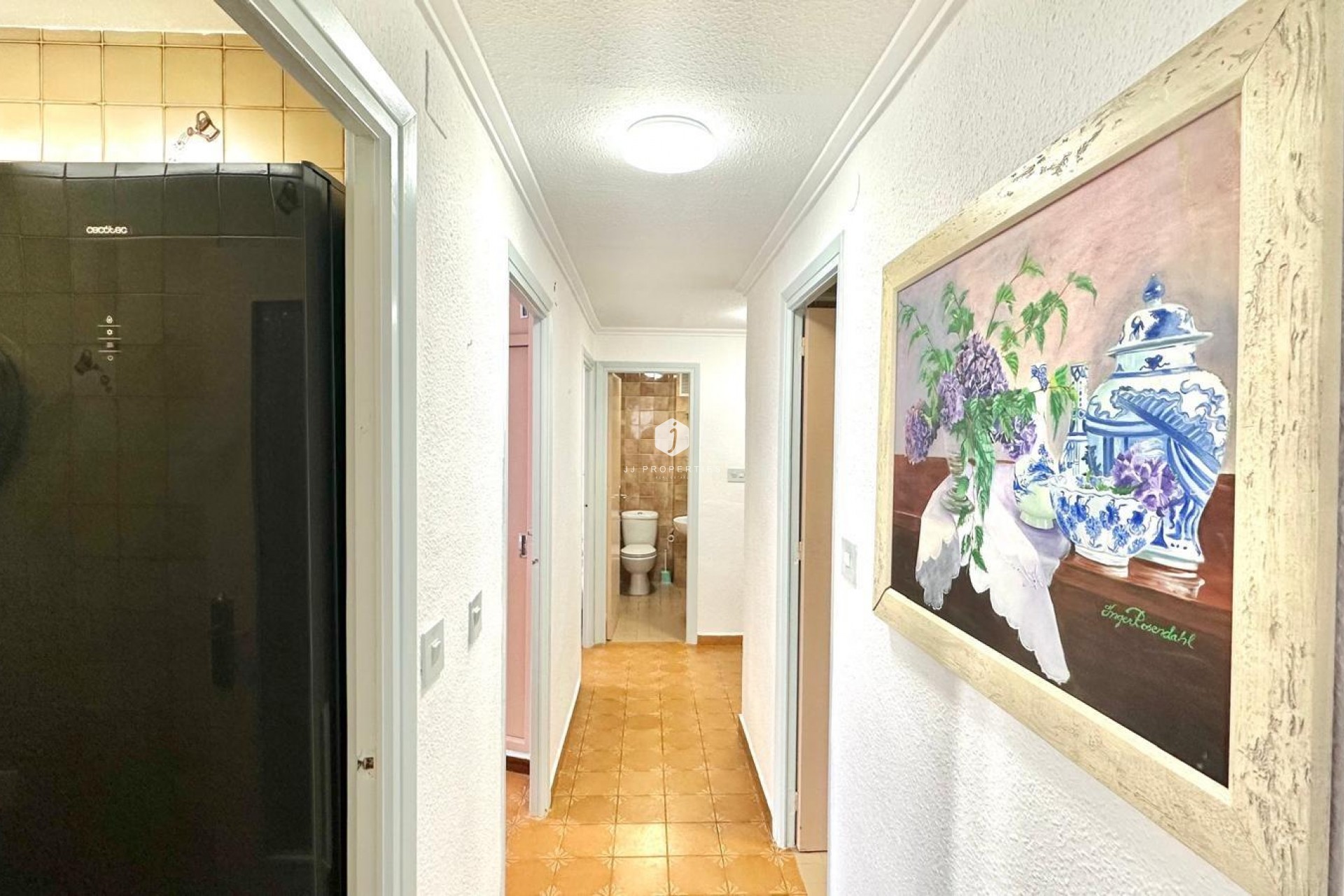 Z drugiej ręki - Daszek -
Torrevieja - Centro