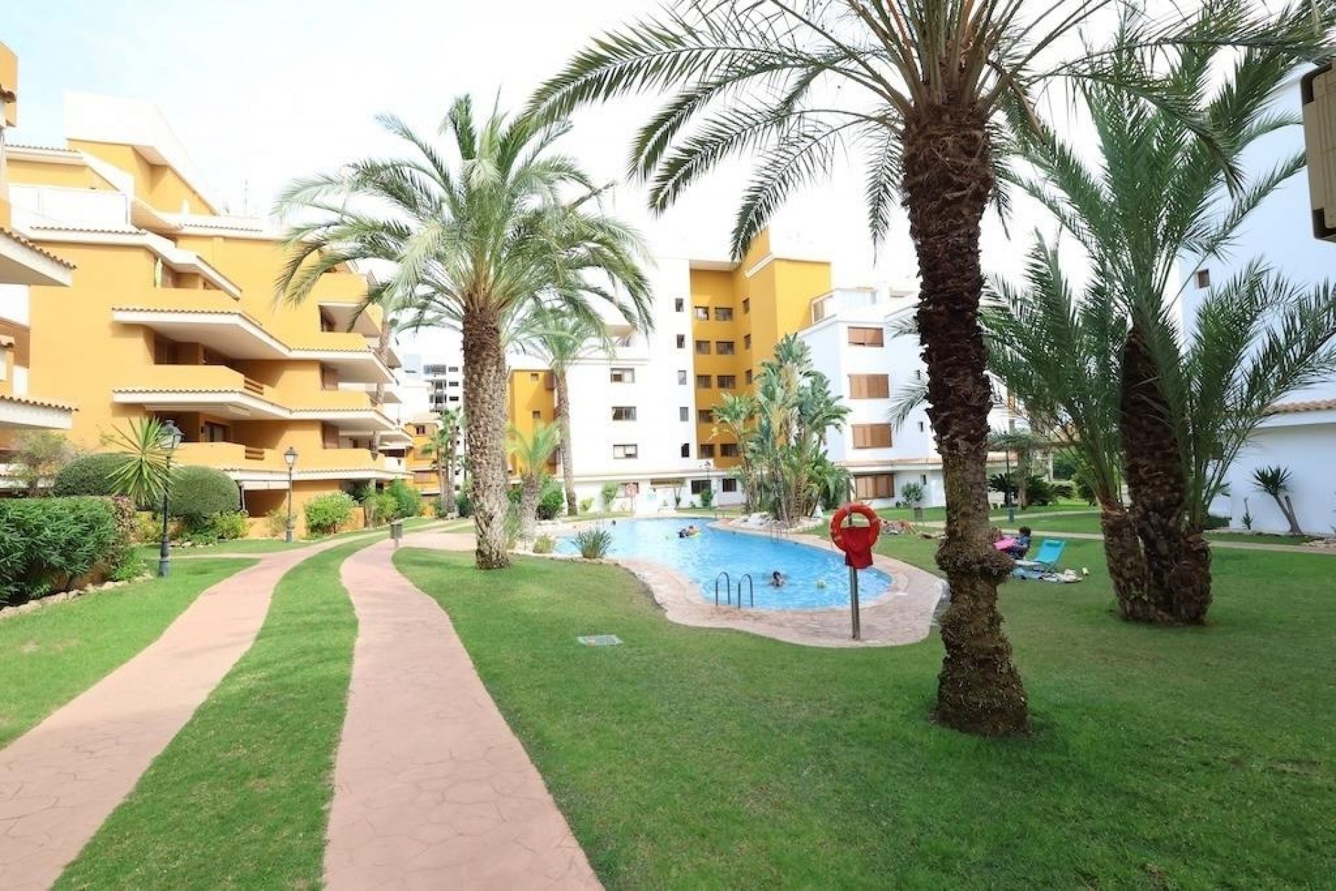 Z drugiej ręki - Daszek -
Torrevieja - Costa Blanca