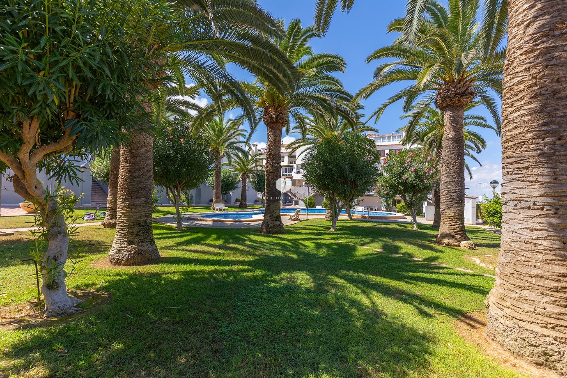 Z drugiej ręki - Mieszkanie w bloku -
La Mata - Costa Blanca