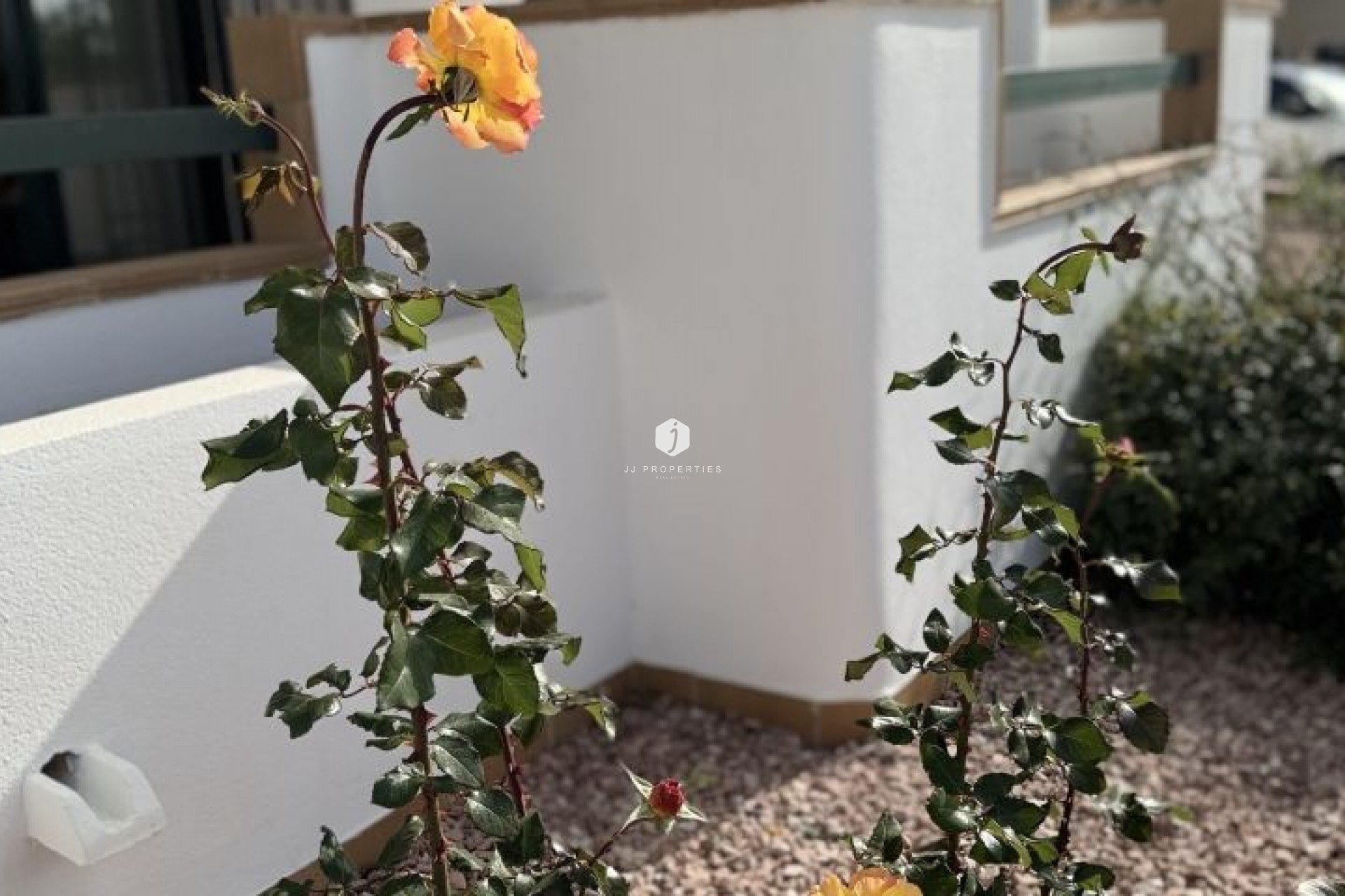 Z drugiej ręki - Mieszkanie w bloku -
Orihuela Costa - Costa Blanca