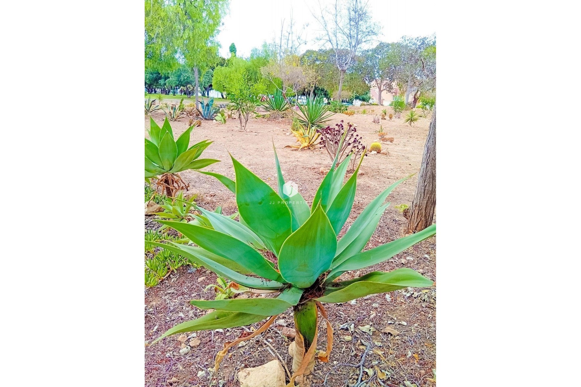 Z drugiej ręki - Mieszkanie w bloku -
Orihuela Costa - La Florida