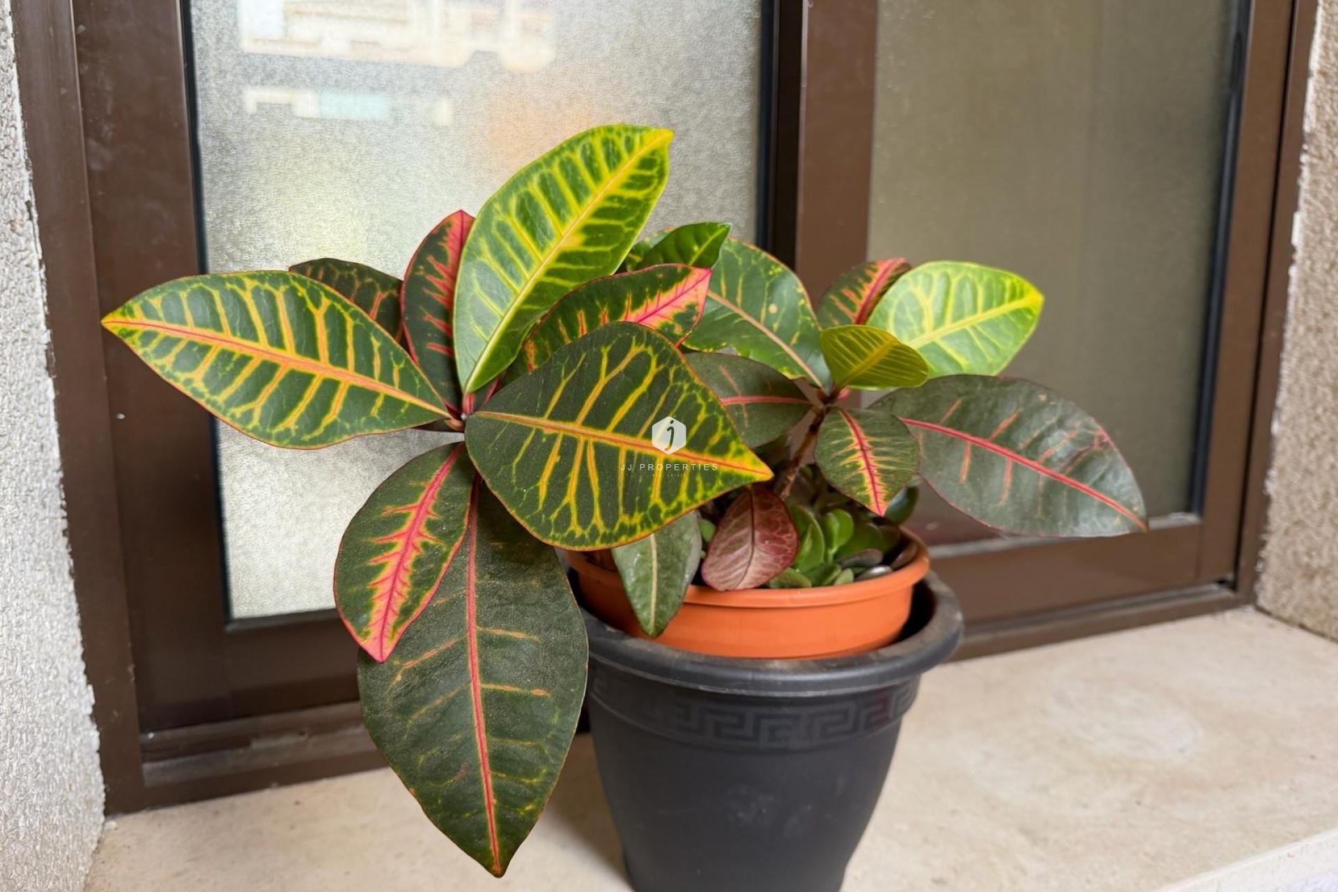 Z drugiej ręki - Mieszkanie w bloku -
Orihuela Costa - Las Ramblas