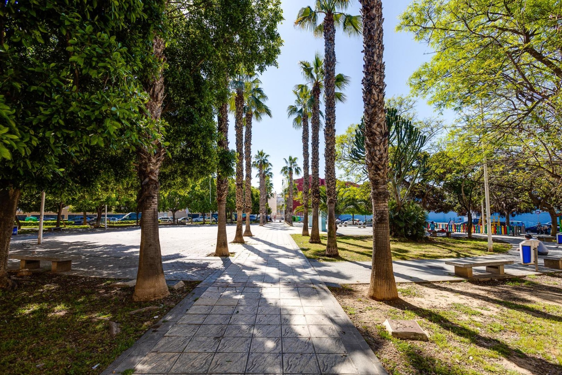 Z drugiej ręki - Mieszkanie w bloku -
Torrevieja - Estacion de autobuses