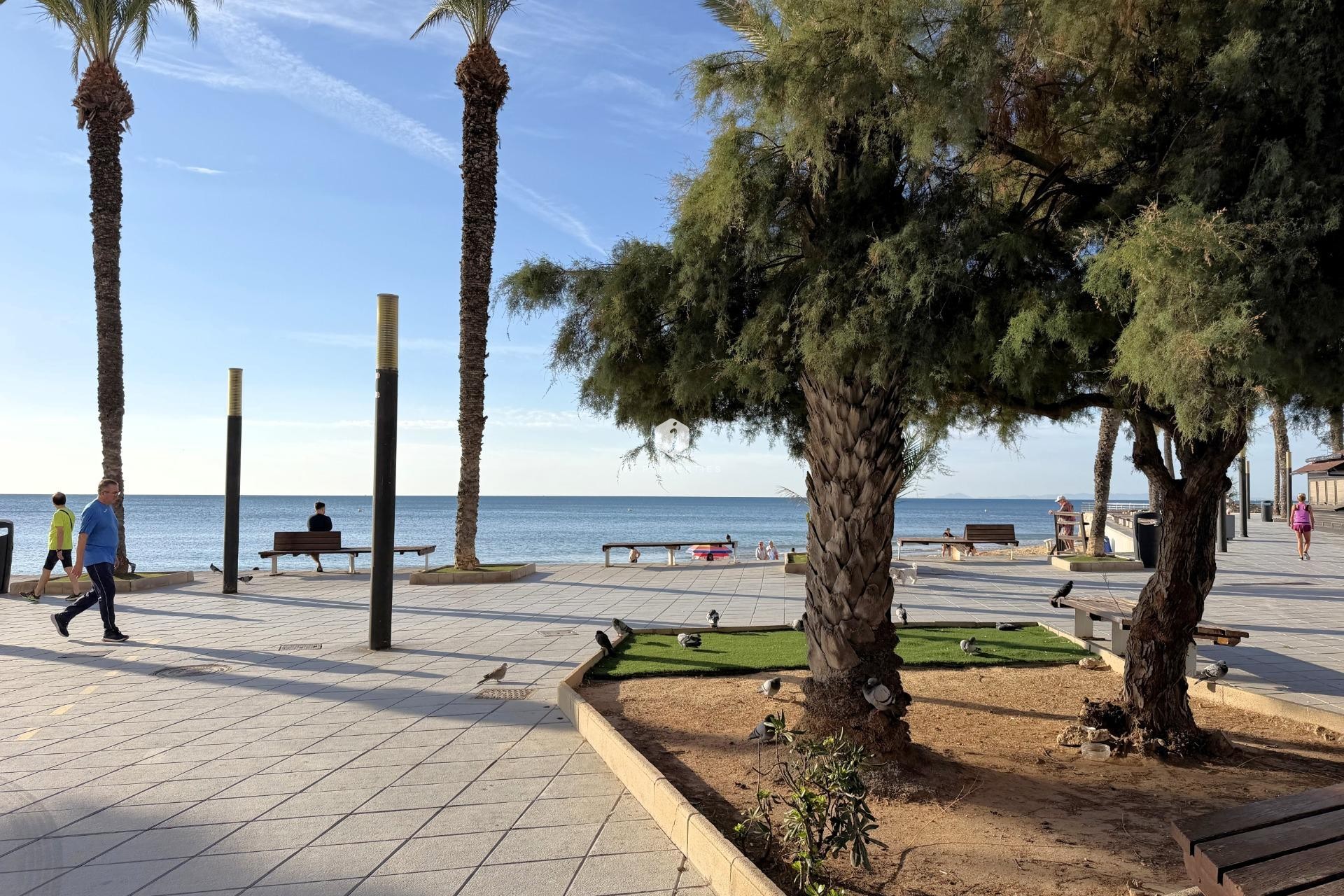 Z drugiej ręki - Mieszkanie w bloku -
Torrevieja - Las Piscinas Naturales