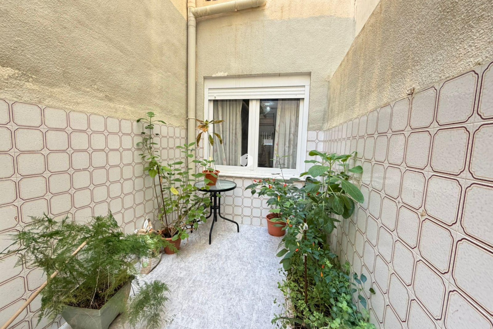 Z drugiej ręki - Mieszkanie w bloku -
Torrevieja - Playa del Cura