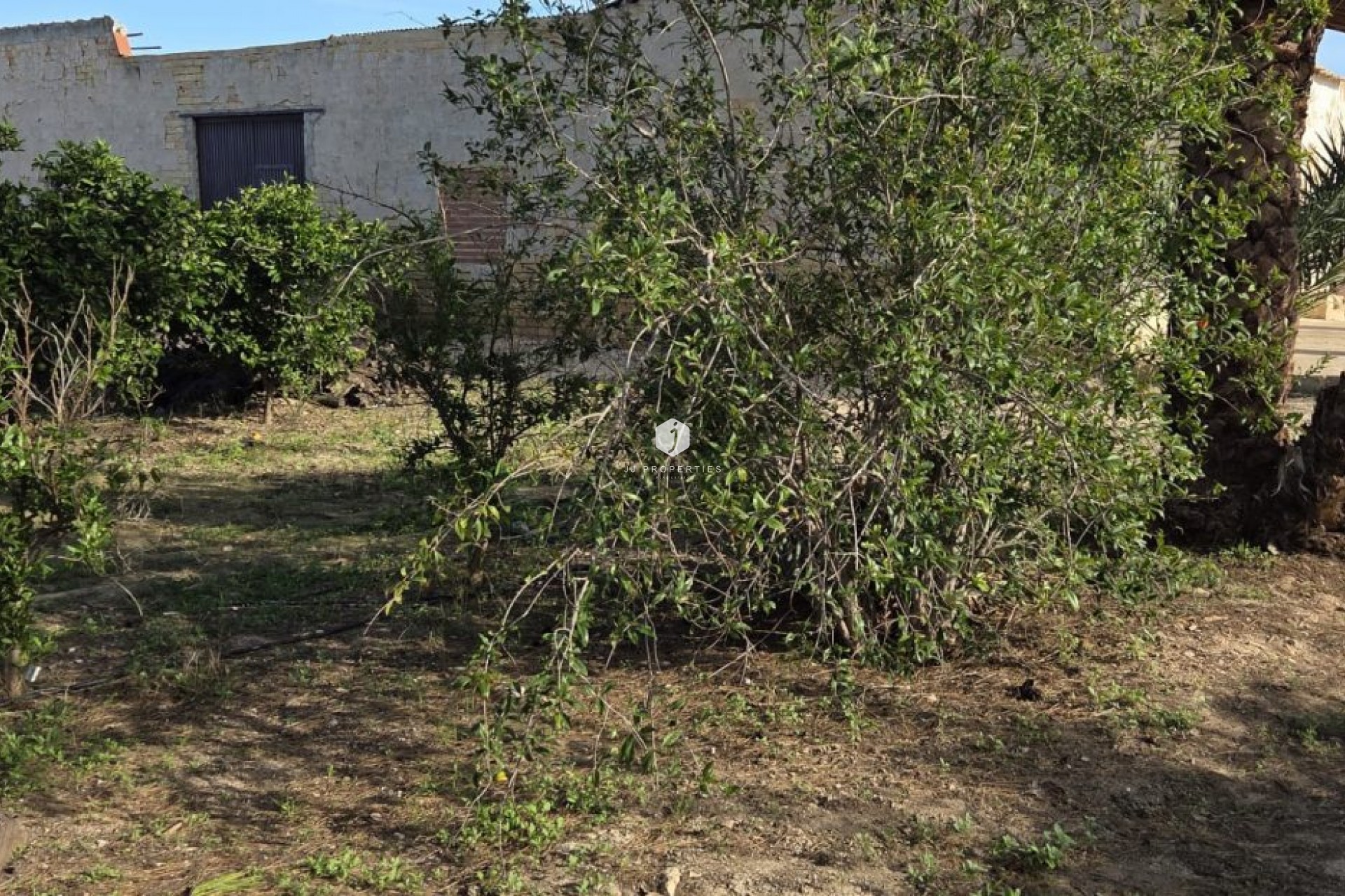 Z drugiej ręki - Nieruchomości wiejskie -
Albatera - Inland