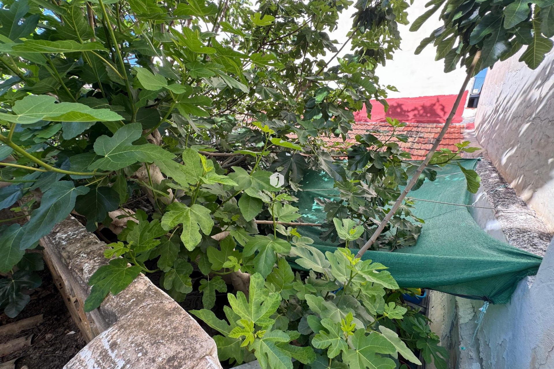 Z drugiej ręki - Szalet -
Benejúzar - Inland