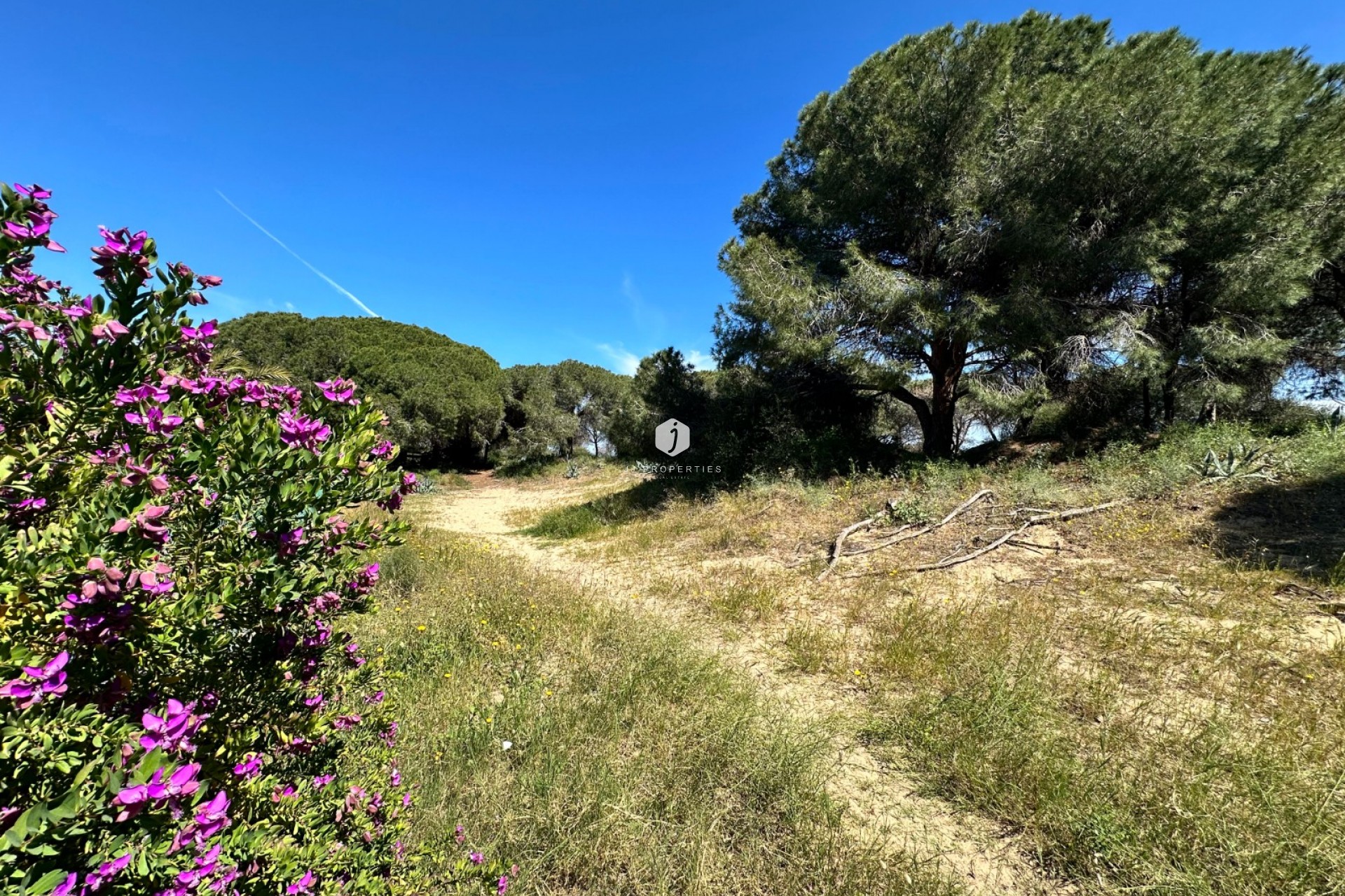 Z drugiej ręki - Szalet -
Guardamar del Segura - Costa Blanca