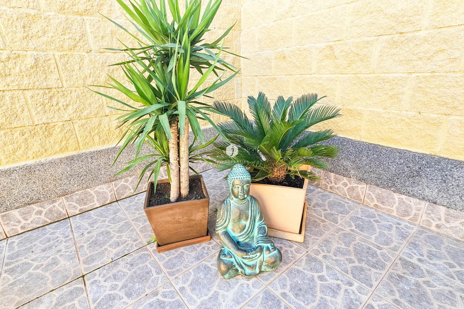 Z drugiej ręki - Szalet -
Torrevieja - El Limonar