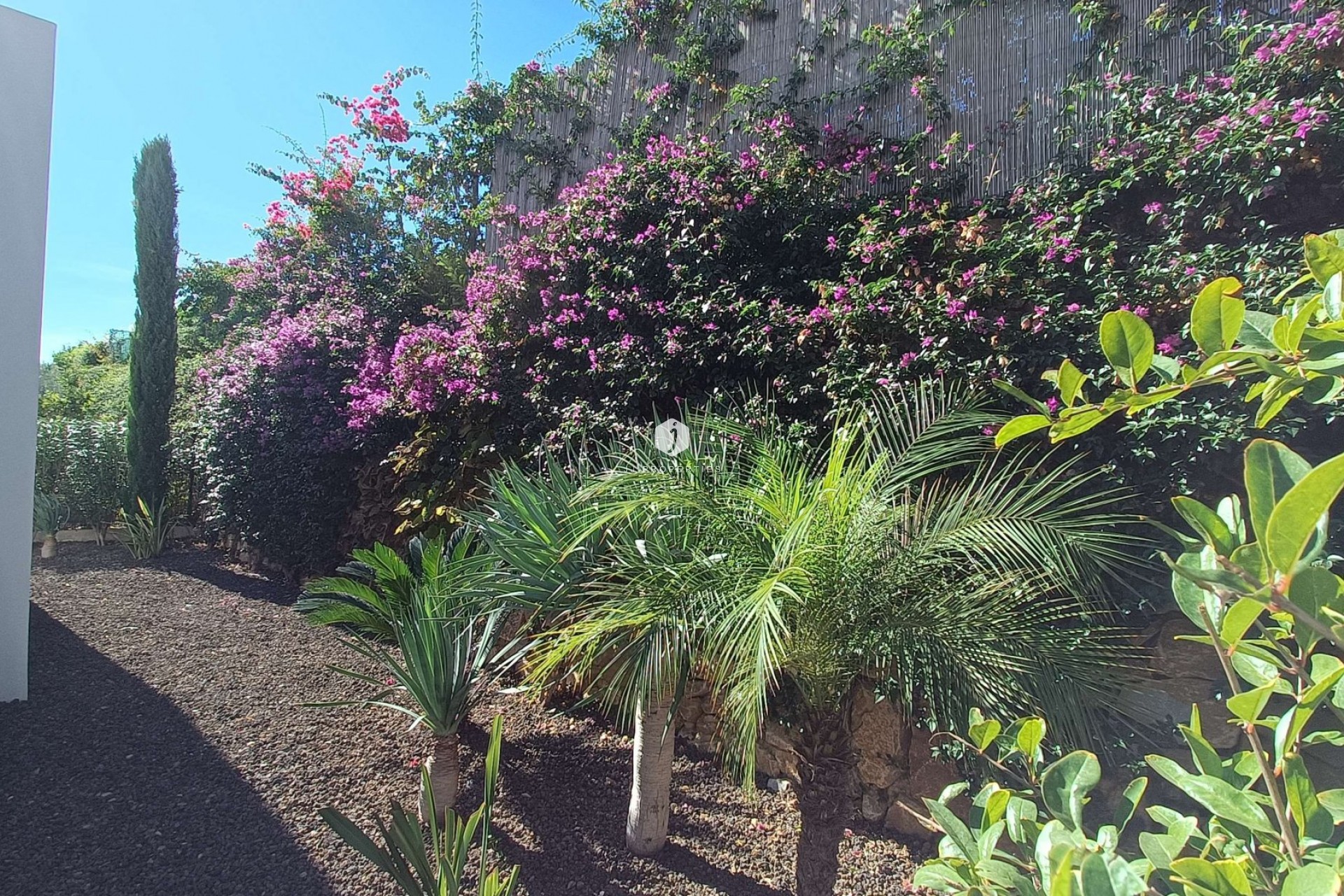 Z drugiej ręki - Villa -
Algorfa - Inland