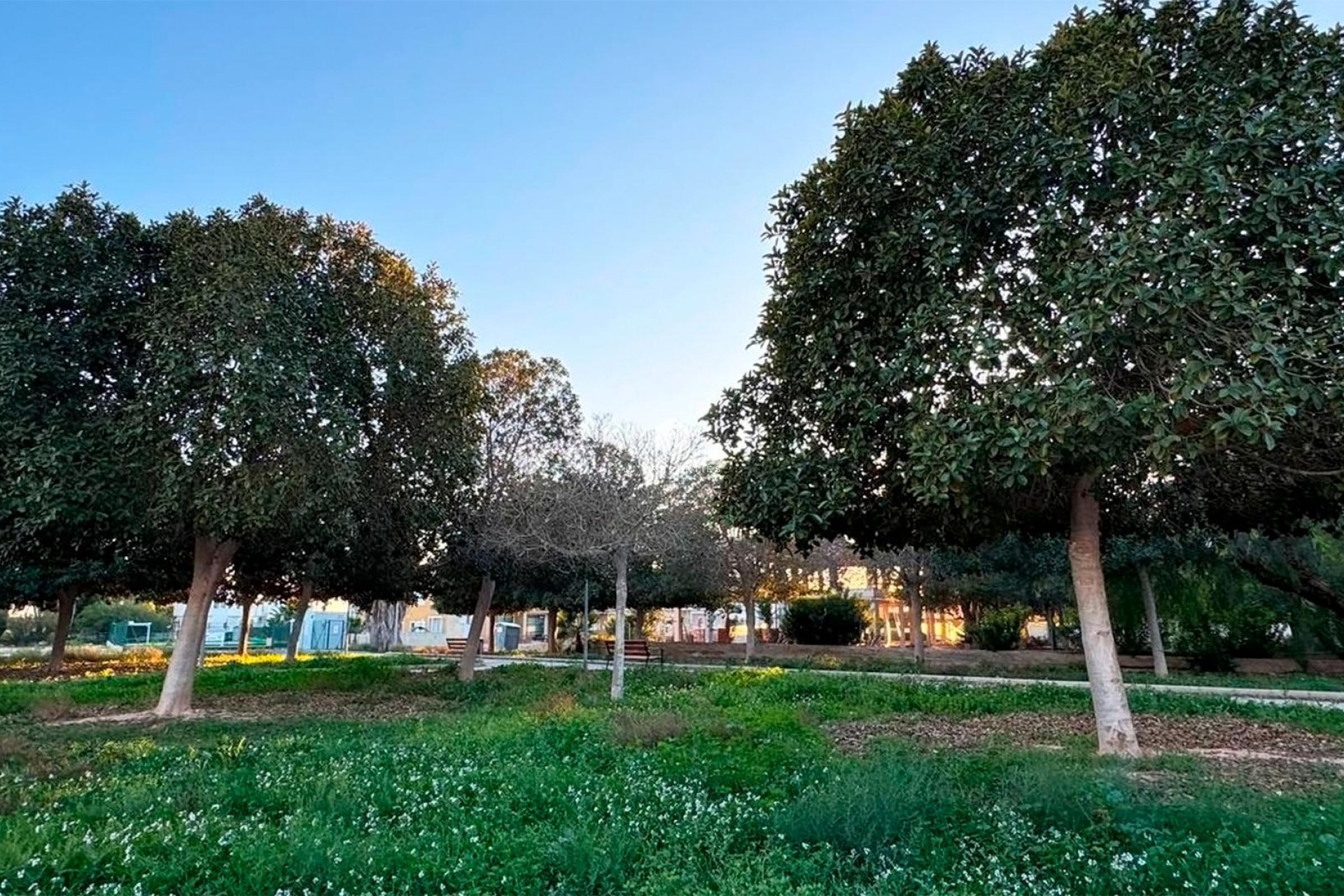 Z drugiej ręki - Villa -
Rojales - Ciudad Quesada