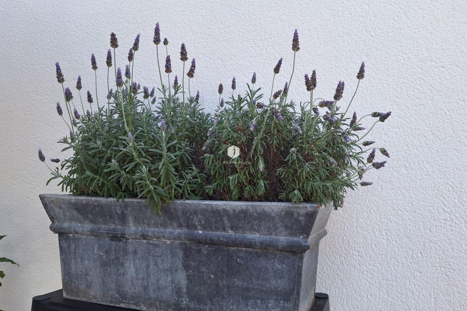 Z drugiej ręki - Villa -
Torrevieja - Los Balcones - Los Altos del Edén