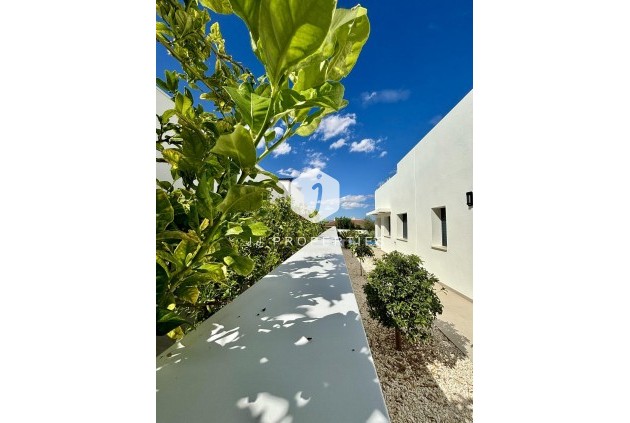 Nieuwbouw Woningen - Villa -
Benijofar - Pueblo