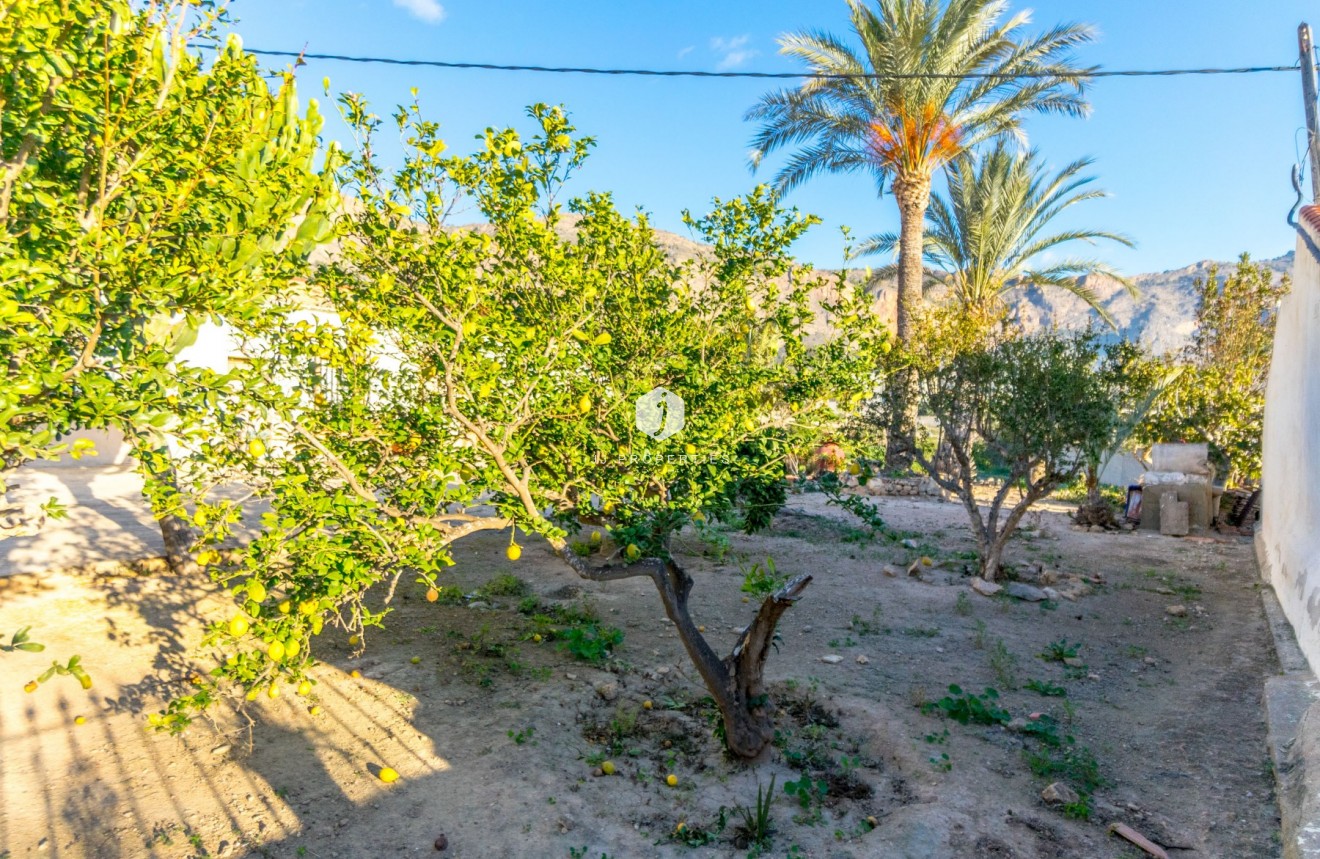 Tweedehands - Landelijk eigendom -
Alicante - Raiguero de Bonanza