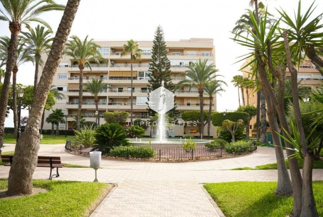 Wynajem długoterminowy - Mieszkanie w bloku -
Torrevieja - Playa de los locos