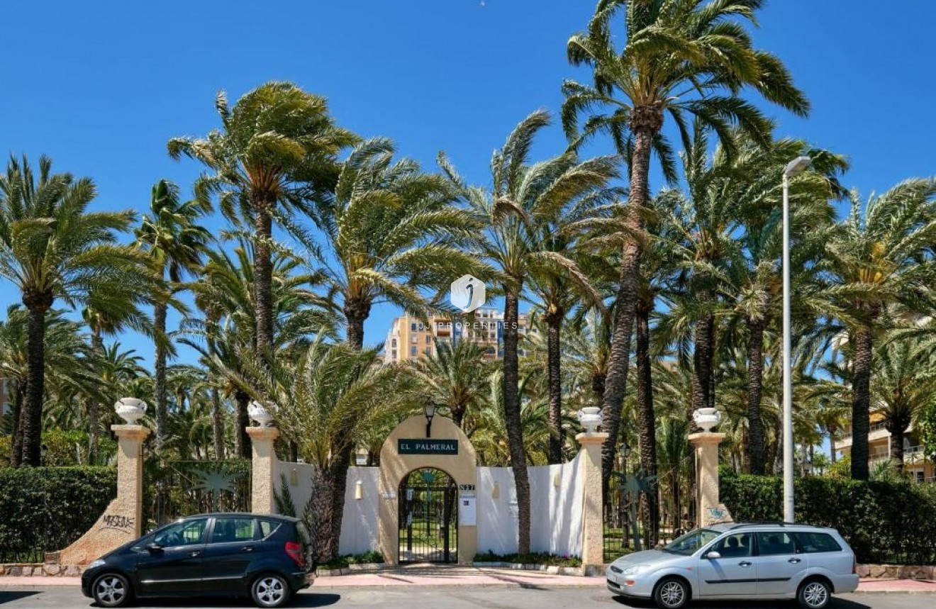 Wynajem długoterminowy - Mieszkanie w bloku -
Torrevieja - Playa de los locos
