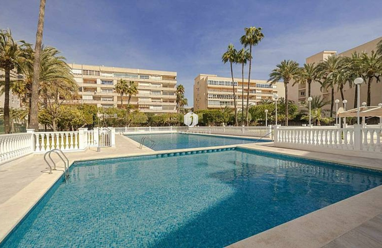 Wynajem długoterminowy - Mieszkanie w bloku -
Torrevieja - Playa de los locos