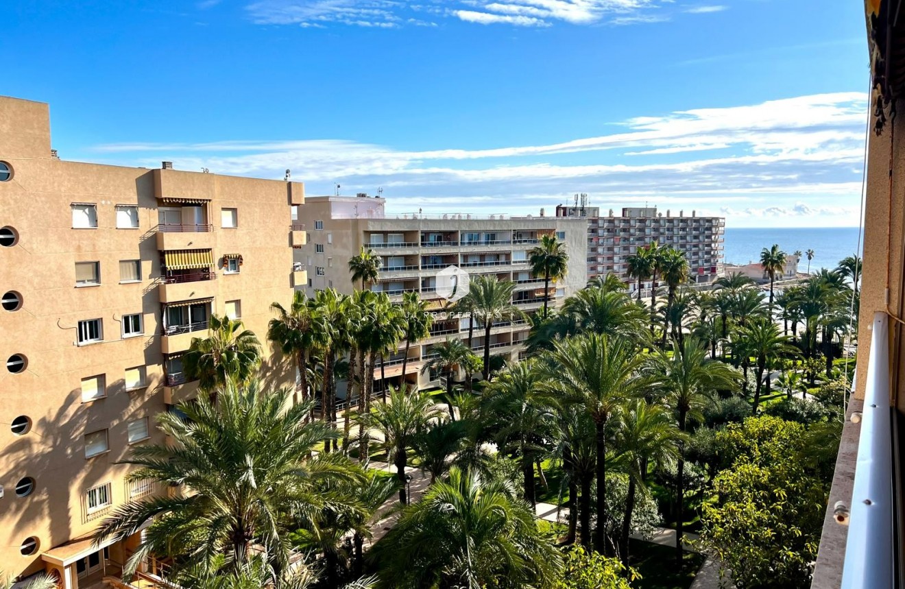 Wynajem długoterminowy - Mieszkanie w bloku -
Torrevieja - Playa de los locos