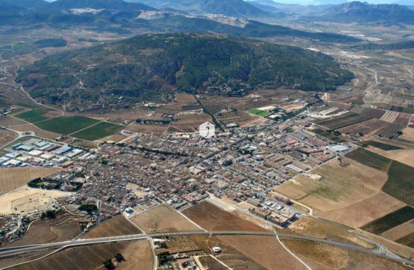 Neue Gebäude - Villa -
Pinoso - Lel