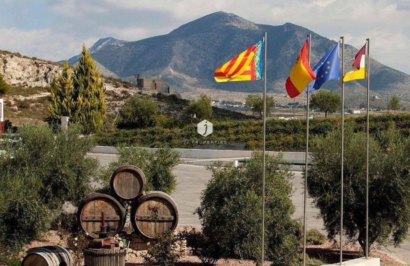 Neue Gebäude - Villa -
Pinoso - Lel