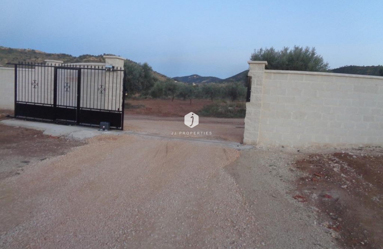 Nieuwbouw Woningen - Villa -
Pinoso - Camino Del Prado