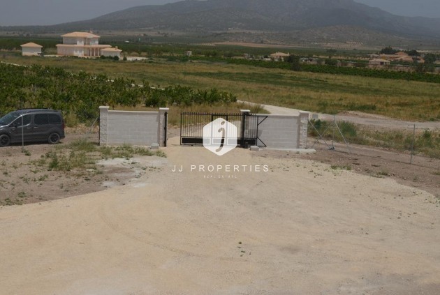 Nieuwbouw Woningen - Villa -
Pinoso - Camino Del Prado