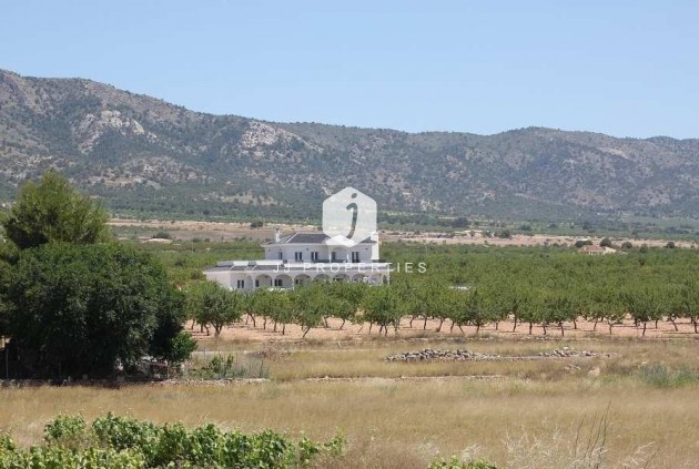 Nieuwbouw Woningen - Villa -
Pinoso - Camino Del Prado