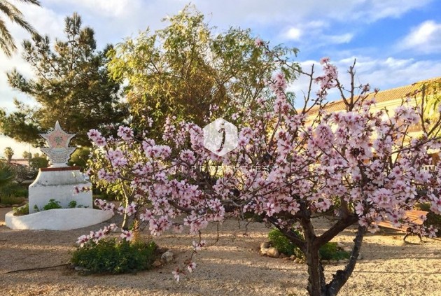 Nieuwbouw Woningen - Villa -
Los Urrutias - Estrella De Mar