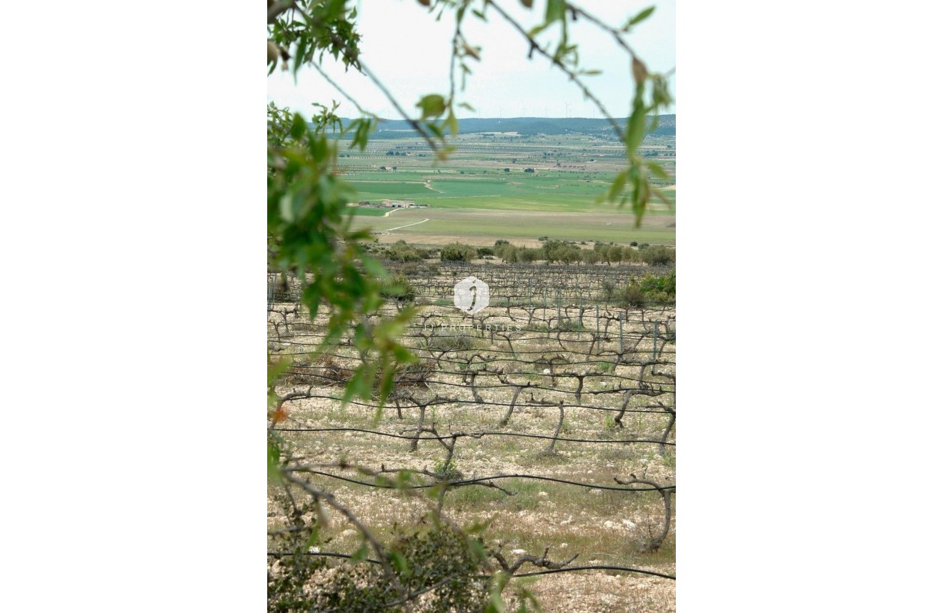 Nouvelle construction - Villa -
Yecla