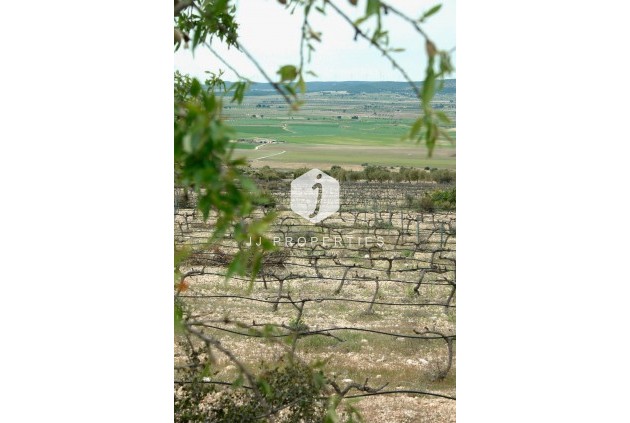 Nouvelle construction - Villa -
Yecla